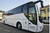 Immagine di Man Lion's Coach