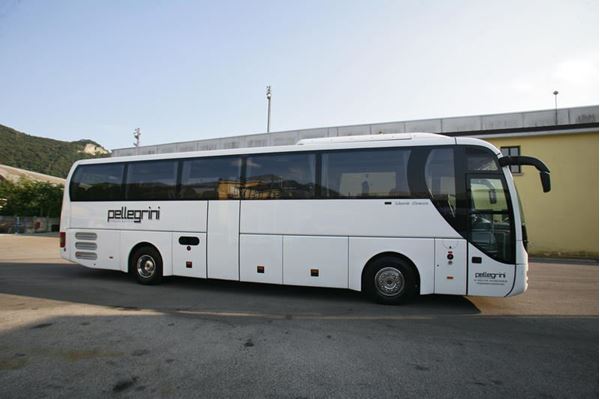 Immagine di Man Lion's Coach
