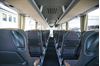 Immagine di Man Lion's Coach
