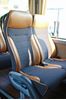 Immagine di Man Lion's Coach